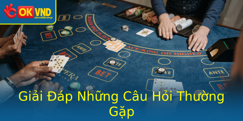 Giải Đáp Những Câu Hỏi Thường Gặp