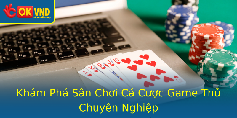 Khám Phá Sân Chơi Cá Cược Game Thủ Chuyên Nghiệp