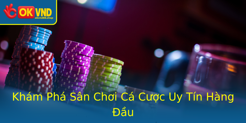 Khám Phá Sân Chơi Cá Cược Uy Tín Hàng Đầu
