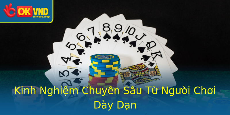 Kinh Nghiệm Chuyên Sâu Từ Người Chơi Dày Dạn