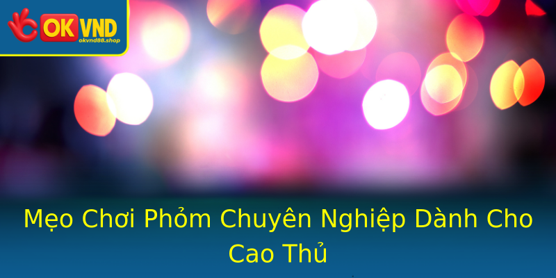 Mẹo Chơi Phỏm Chuyên Nghiệp Dành Cho Cao Thủ