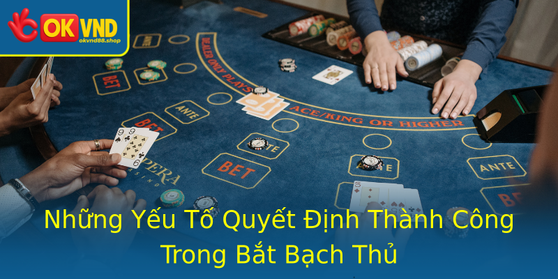 Những Yếu Tố Quyết Định Thành Công Trong Bắt Bạch Thủ
