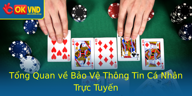 Tổng Quan về Bảo Vệ Thông Tin Cá Nhân Trực Tuyến