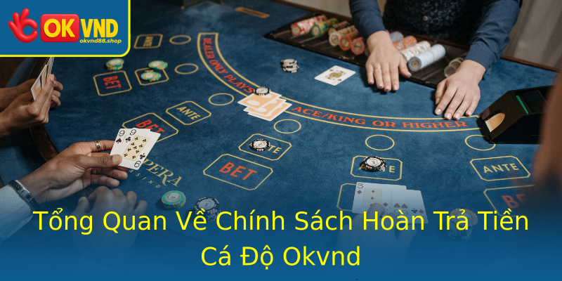 Tổng Quan Về Chính Sách Hoàn Trả Tiền Cá Độ Okvnd Tổng Quan Về Chính Sách Hoàn Trả Tiền Cá Độ Okvnd