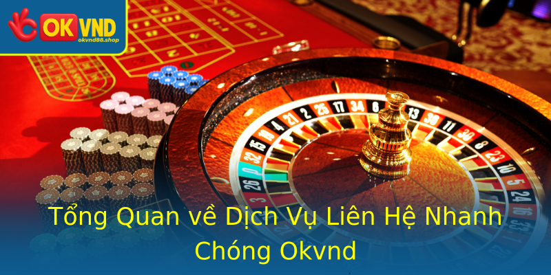 Tổng Quan về Dịch Vụ Liên Hệ Nhanh Chóng Okvnd