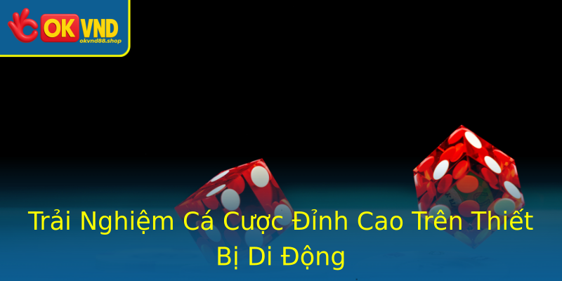 Trải Nghiệm Cá Cược Đỉnh Cao Trên Thiết Bị Di Động Trải Nghiệm Cá Cược Đỉnh Cao Trên Thiết Bị Di Động
